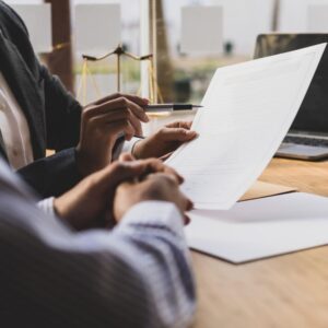 Legal Document Vetting Services